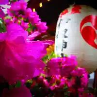 伊奴神社の自然