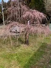 慈悲観音堂(大分県)