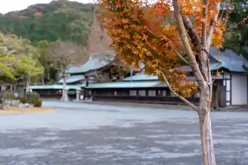 宗像大社(福岡県)