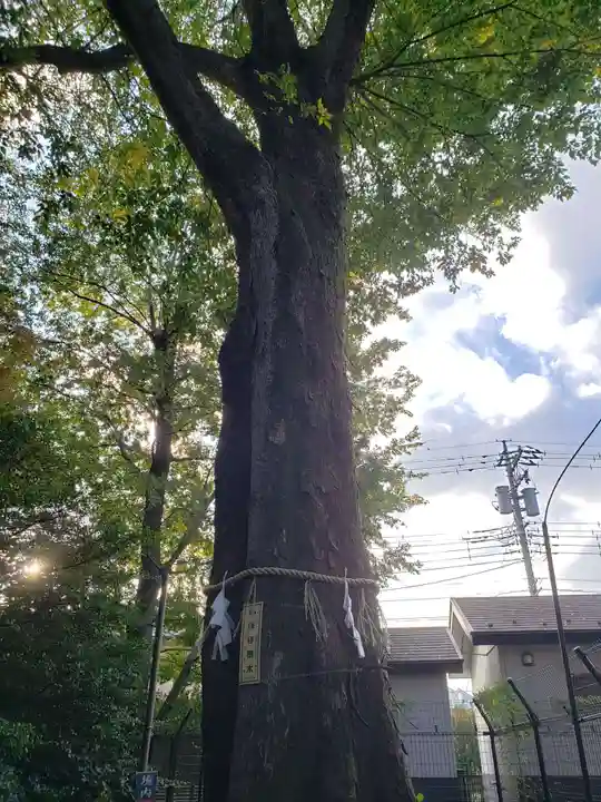 熊野宮(東京都)