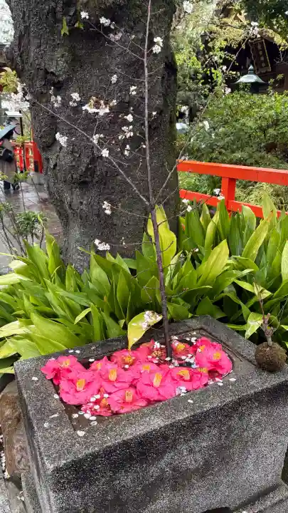 愛宕神社の{uncategorized: "未分類", other: "その他", undefined: "問題あり", building: "その他建物", grave: "お墓", sacred_gate: "鳥居", guardian: "狛犬", statue: "像", buddha: "仏像", history: "歴史", nature: "自然", garden: "庭園", animal: "動物", pagoda: "塔", temizu: "手水舎", mountain_gate: "山門・神門", sanctuary: "本殿・本堂", subordinate: "末社・摂社", art: "芸術", scenery: "景色", jizo: "地蔵", ema: "絵馬", goshuin: "御朱印", omikuji: "おみくじ", items: "授与品その他", amulet: "お守り", goshuincho: "御朱印帳", eats: "食事", festival: "お祭り", votive_dance: "神楽", shichigosan: "七五三参", wedding: "結婚式", experience: "体験その他", initially: "初詣", around: "周辺", anti_infection: "感染症対策"}