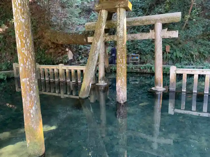 鹿島神宮(茨城県)