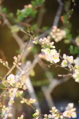 浄土寺(兵庫県)