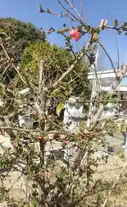 比佐豆知神社の自然(2023年03月15日(水) 12時04分31秒投稿)