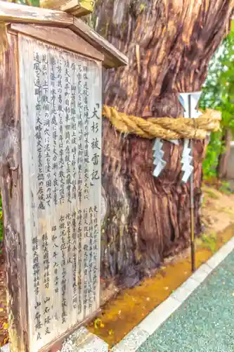 大國魂神社の自然