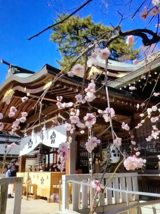 布多天神社(東京都)