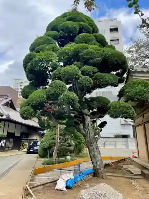 称名寺(東京都)