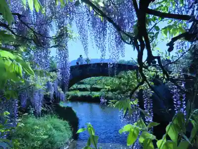 西寒多神社(大分県)