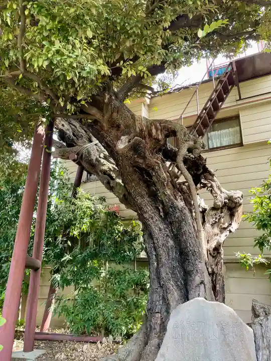 延命院(東京都)