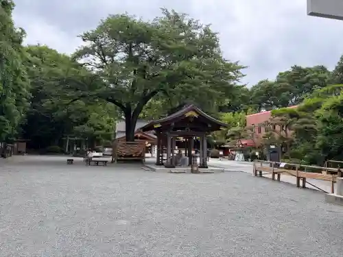 出雲大社相模分祠(神奈川県)