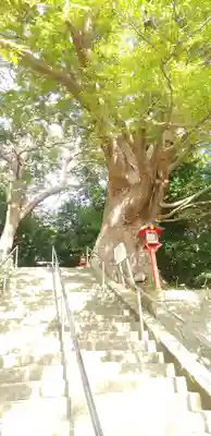 常陸第三宮 吉田神社のその他建物