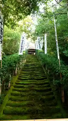 杉本寺の自然