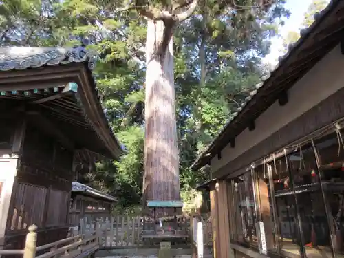事任八幡宮の自然