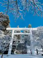 土津神社|こどもと出世の神さまの鳥居