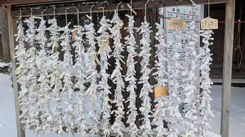 旭川神社のおみくじ