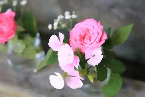 厚別神社(北海道)