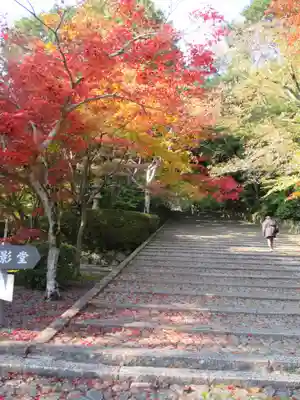 光明寺（粟生光明寺）のその他建物