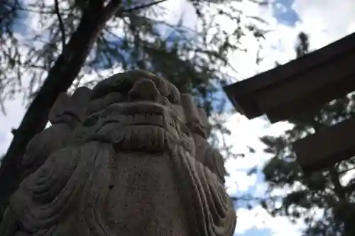 和歌山縣護國神社の狛犬