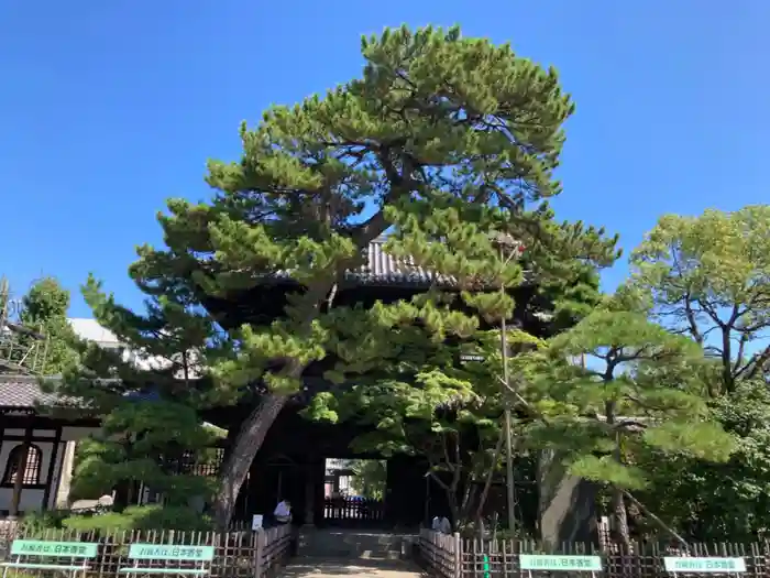 泉岳寺の山門