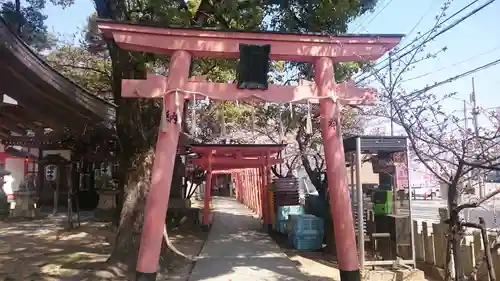 粟津天満神社の鳥居