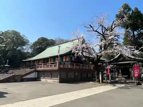 喜多院の{uncategorized: "未分類", other: "その他", undefined: "問題あり", building: "その他建物", grave: "お墓", sacred_gate: "鳥居", guardian: "狛犬", statue: "像", buddha: "仏像", history: "歴史", nature: "自然", garden: "庭園", animal: "動物", pagoda: "塔", temizu: "手水舎", mountain_gate: "山門・神門", sanctuary: "本殿・本堂", subordinate: "末社・摂社", art: "芸術", scenery: "景色", jizo: "地蔵", ema: "絵馬", goshuin: "御朱印", omikuji: "おみくじ", items: "授与品その他", amulet: "お守り", goshuincho: "御朱印帳", eats: "食事", festival: "お祭り", votive_dance: "神楽", shichigosan: "七五三参", wedding: "結婚式", experience: "体験その他", initially: "初詣", around: "周辺", anti_infection: "感染症対策"}