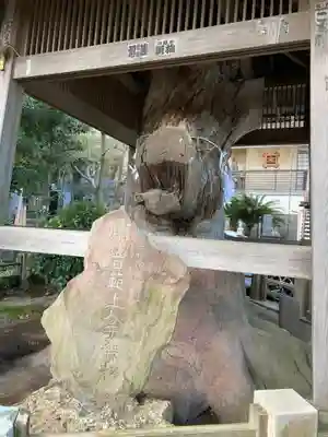 延寿寺のその他建物