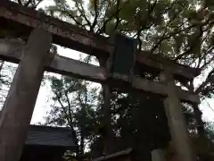 赤坂氷川神社の鳥居