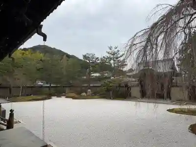 高台寺(高台寿聖禅寺・高臺寺)(京都府)