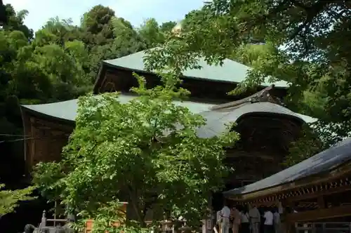 松尾寺の建物その他