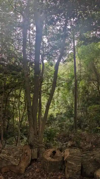 若宮八幡社(東京都)