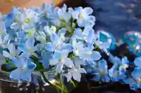 上尾御嶽神社の手水舎