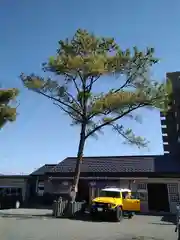 別小江神社の建物その他