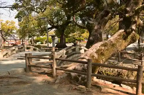 香椎宮(福岡県)