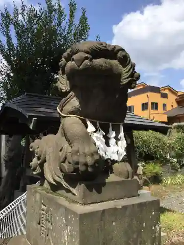 鳩ヶ谷氷川神社の狛犬