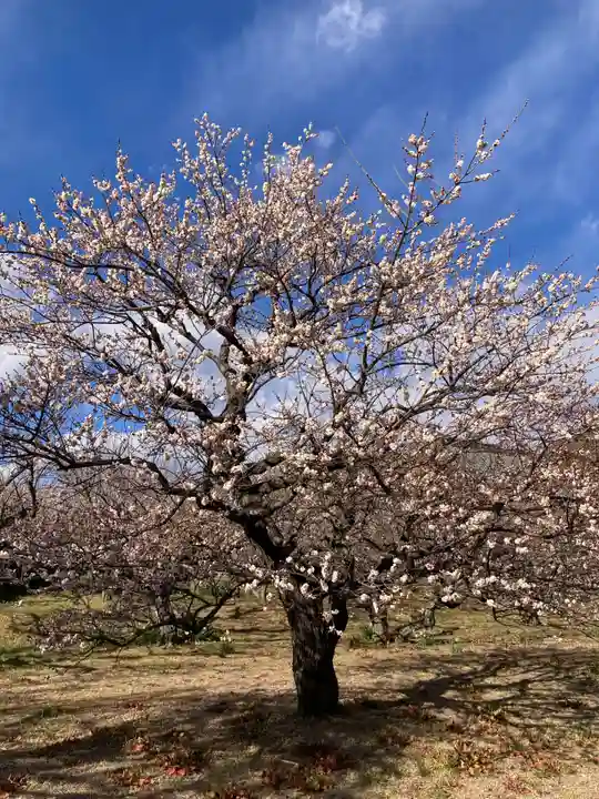 瑞雲寺(神奈川県)