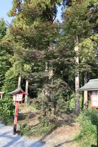鷲宮神社のその他建物
