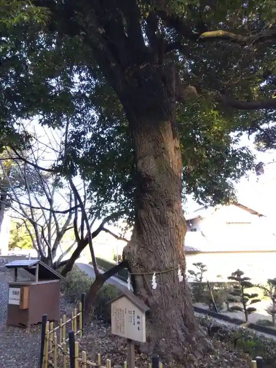 熊野神社(静岡県)