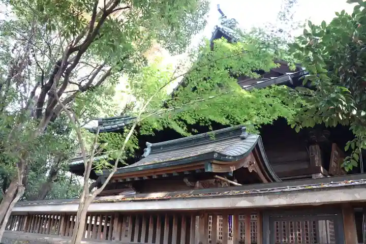 戸越八幡神社の本殿・本堂