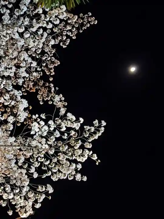 如宝寺(福島県)