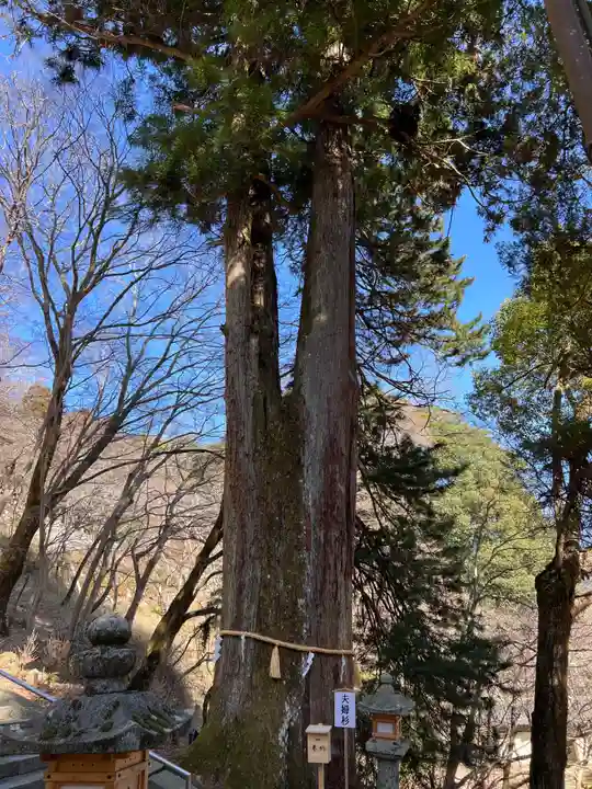 談山神社(奈良県)
