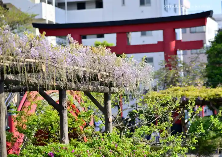 亀戸天神社の庭園
