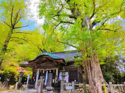 綾部八幡神社の本殿・本堂