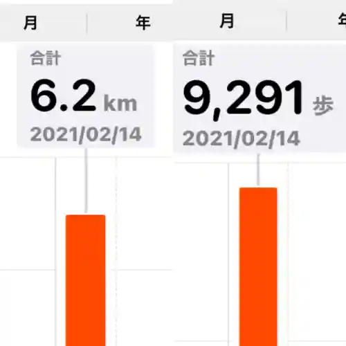 馬場氷川神社(埼玉県)