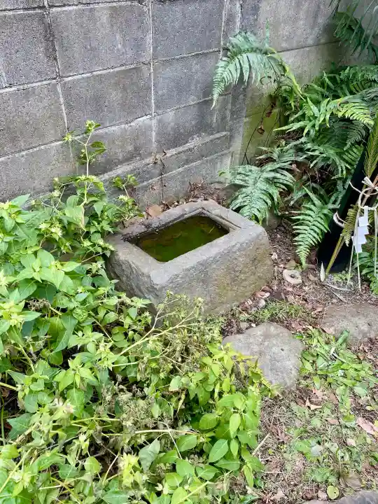 戸田稲荷神社の{uncategorized: "未分類", other: "その他", undefined: "問題あり", building: "その他建物", grave: "お墓", sacred_gate: "鳥居", guardian: "狛犬", statue: "像", buddha: "仏像", history: "歴史", nature: "自然", garden: "庭園", animal: "動物", pagoda: "塔", temizu: "手水舎", mountain_gate: "山門・神門", sanctuary: "本殿・本堂", subordinate: "末社・摂社", art: "芸術", scenery: "景色", jizo: "地蔵", ema: "絵馬", goshuin: "御朱印", omikuji: "おみくじ", items: "授与品その他", amulet: "お守り", goshuincho: "御朱印帳", eats: "食事", festival: "お祭り", votive_dance: "神楽", shichigosan: "七五三参", wedding: "結婚式", experience: "体験その他", initially: "初詣", around: "周辺", anti_infection: "感染症対策"}