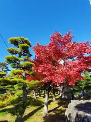 開成山大神宮(福島県)