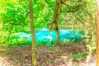 丸池神社(山形県)