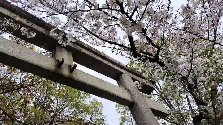 安井金比羅宮(京都府)