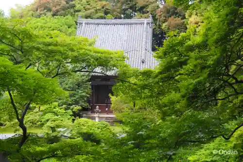 長岳寺の本殿