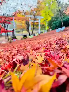 土津神社|こどもと出世の神さま(福島県)(2025年11月14日(金) 06時31分24秒投稿)