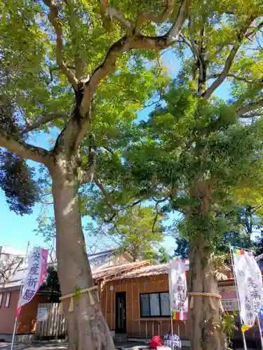 大宮・大原神社の自然